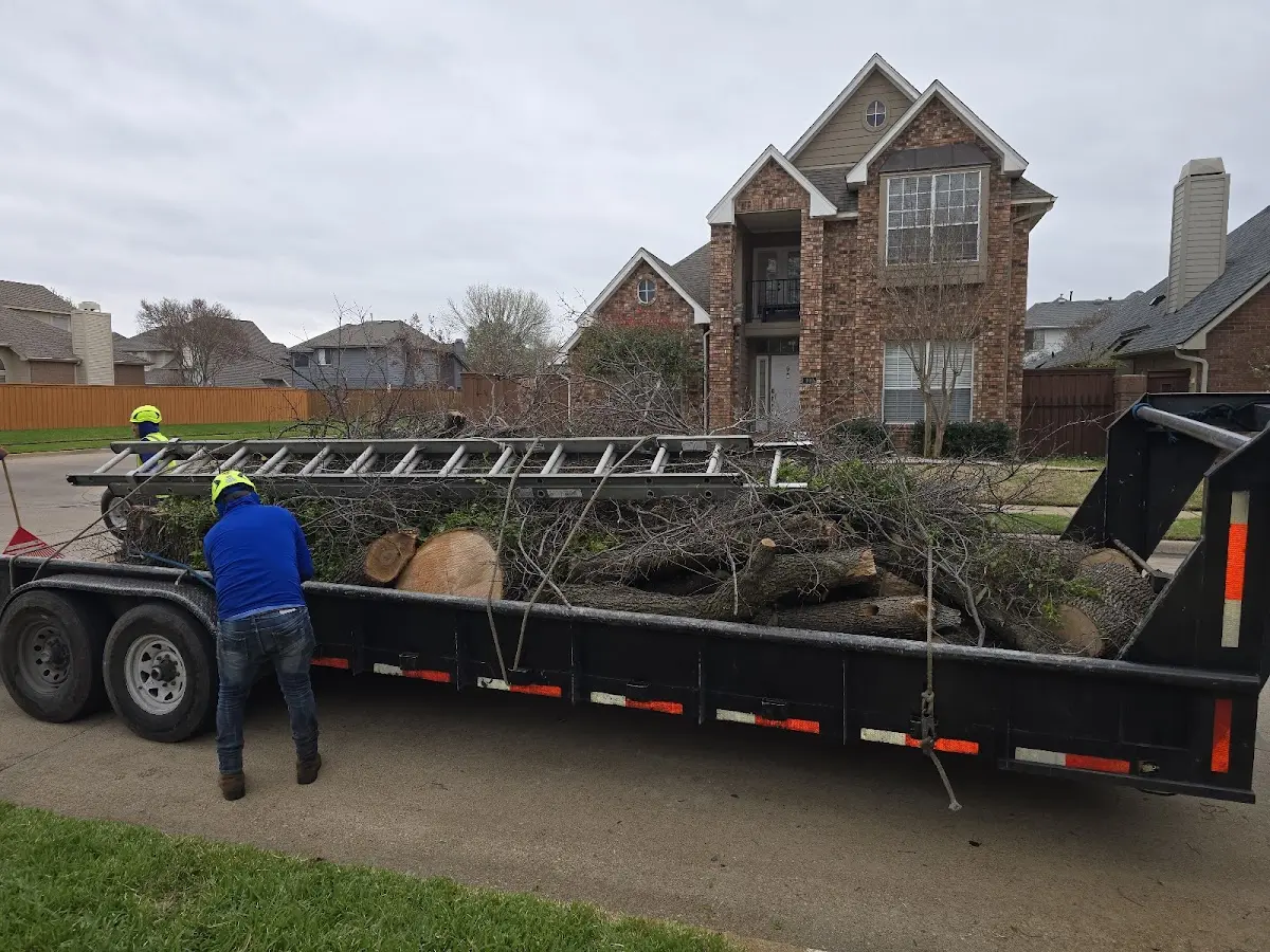 Expert Tree Fertilization with proper safety equipment in Young
